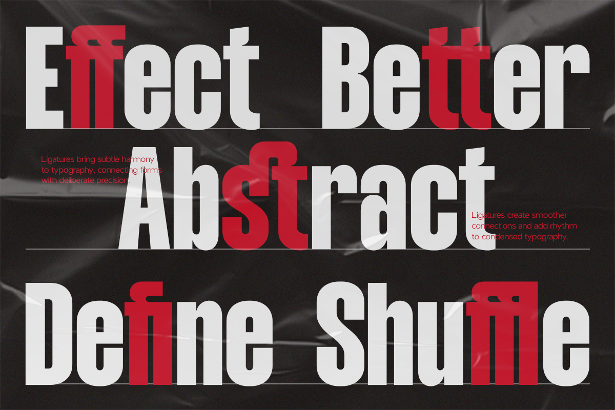 NV Dunk – Condensed Sans Serif Family — image 10