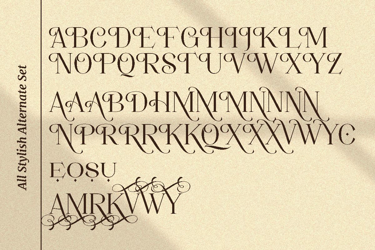 Movich | Uniquely Serif Font — image 10