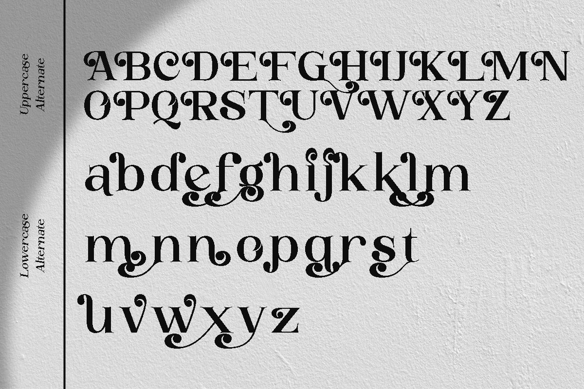 Buckbrush | Elegant Playful Serif — image 10