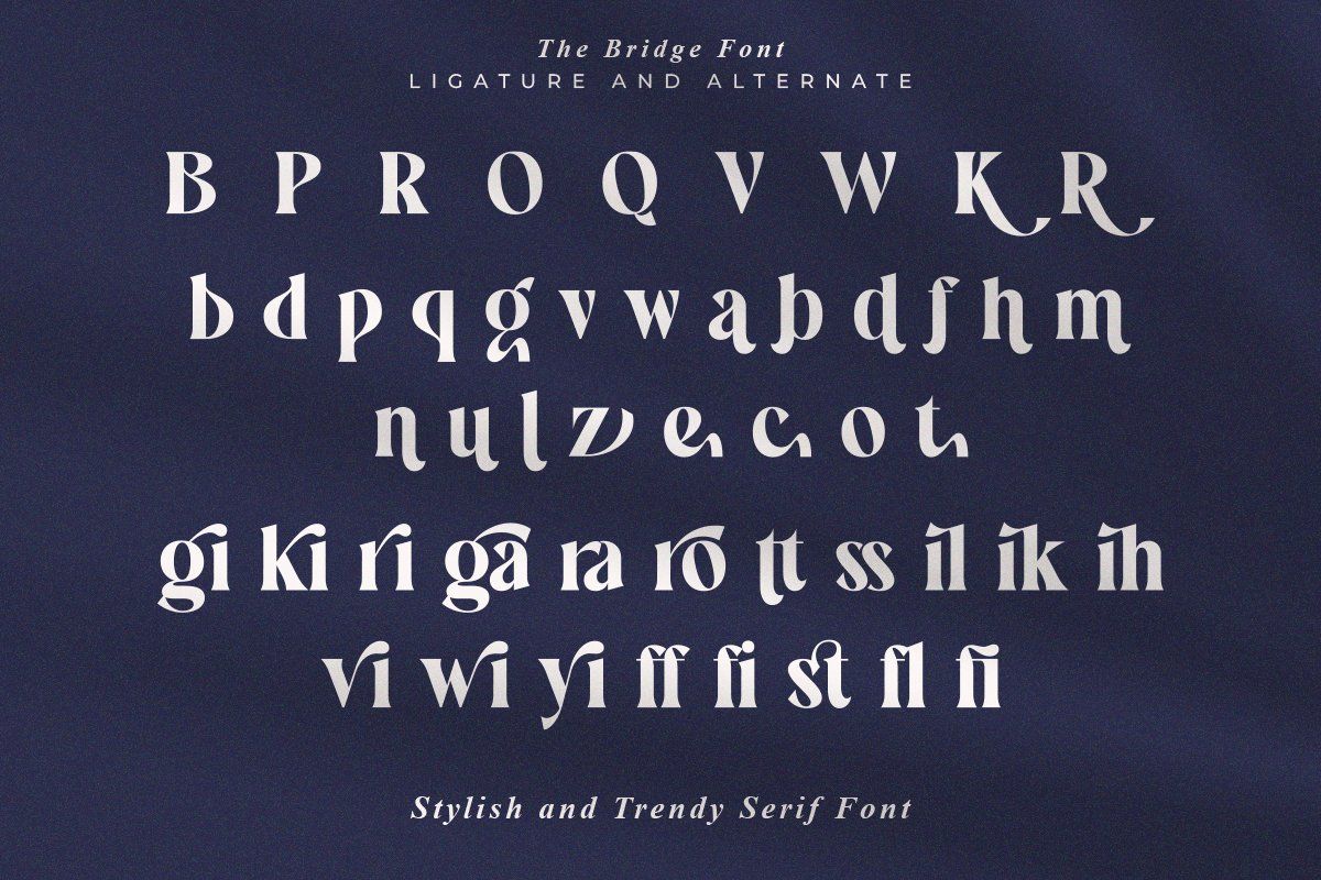 The Bridge | Stylish Trendy Serif — image 10