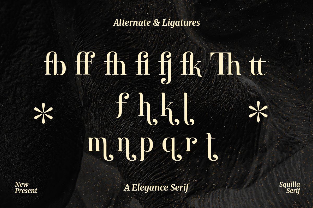 Squilla | Elegance Serif Font — image 10