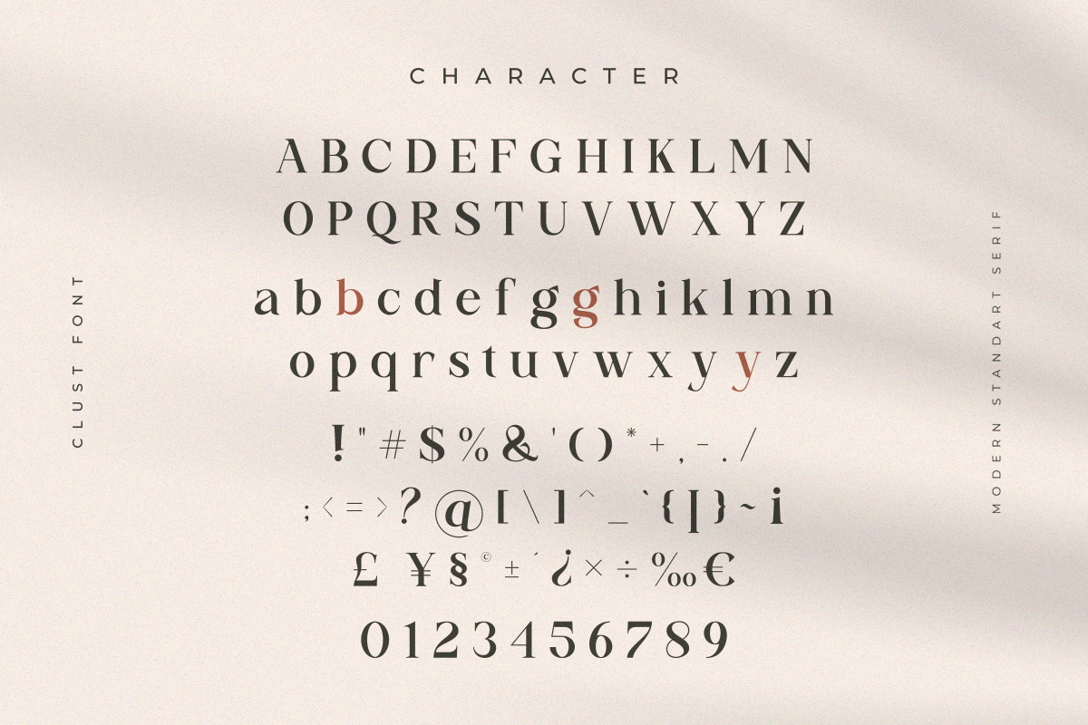 Clust - Modern Serif Elegant — image 11