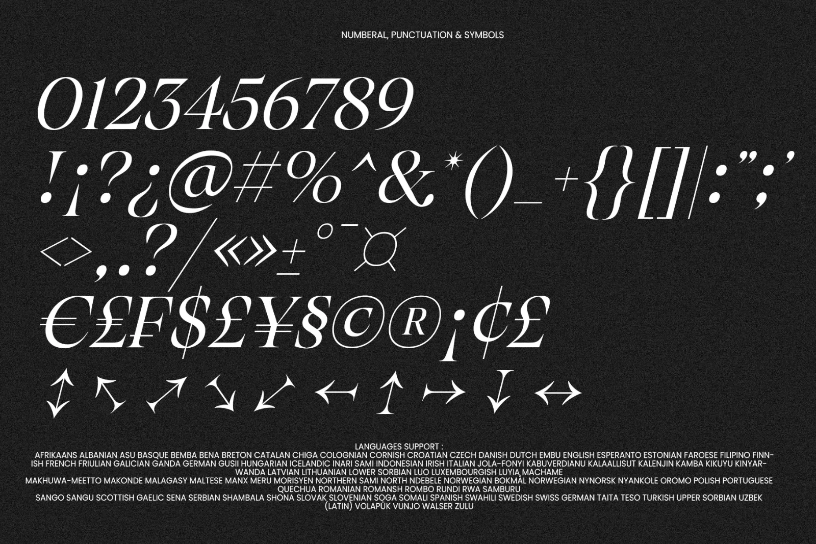 The Taylor Belle | Elegant Feminine Serif Display — image 11