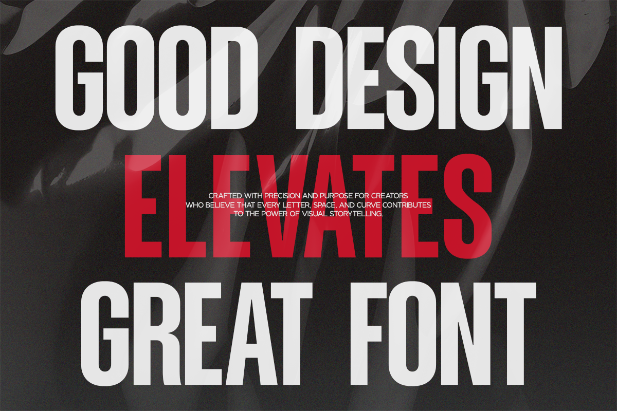 NV Dunk – Condensed Sans Serif Family — image 12