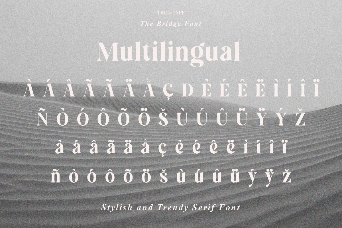 The Bridge | Stylish Trendy Serif — image 12
