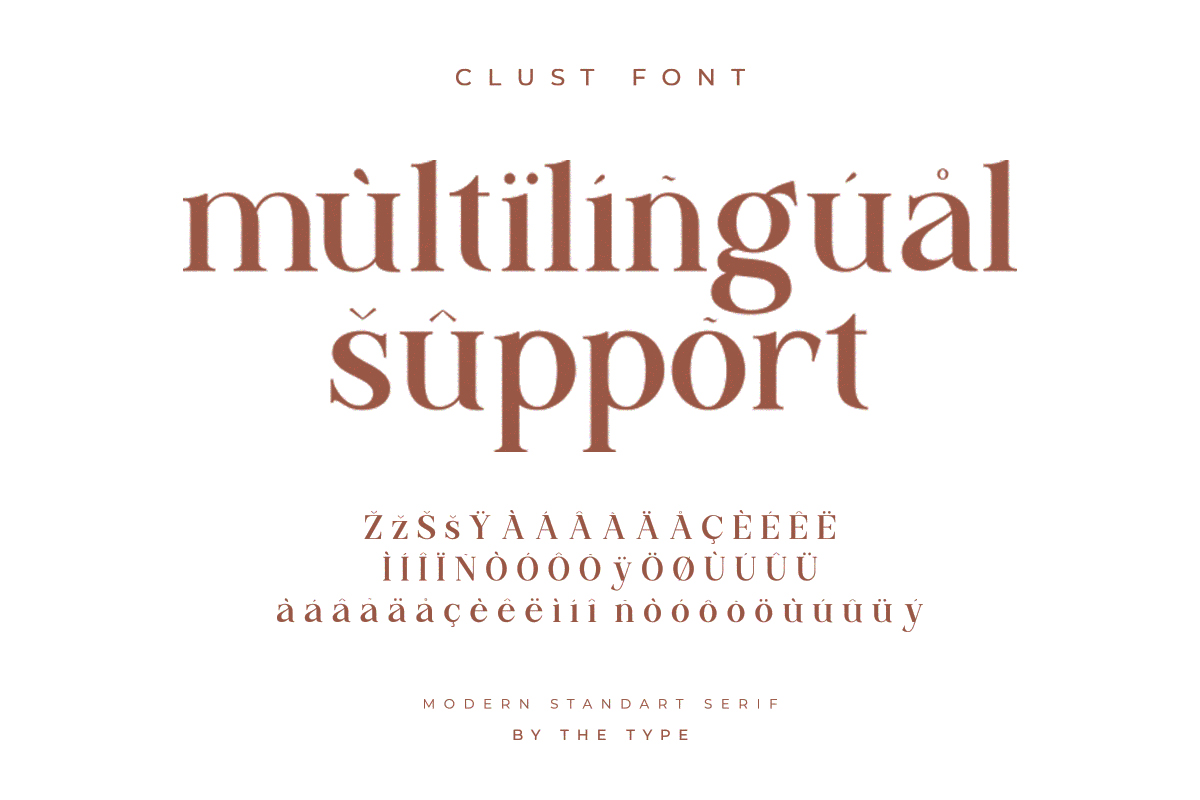 Clust - Modern Serif Elegant — image 12