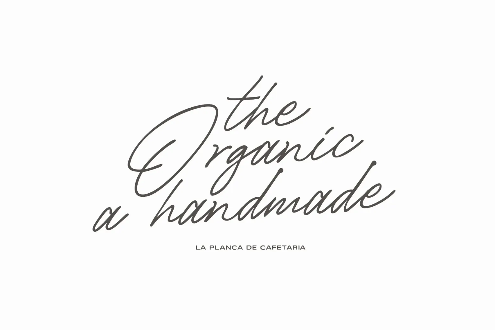La Planca de Cafetaria | Font Duo Sans Script — image 13