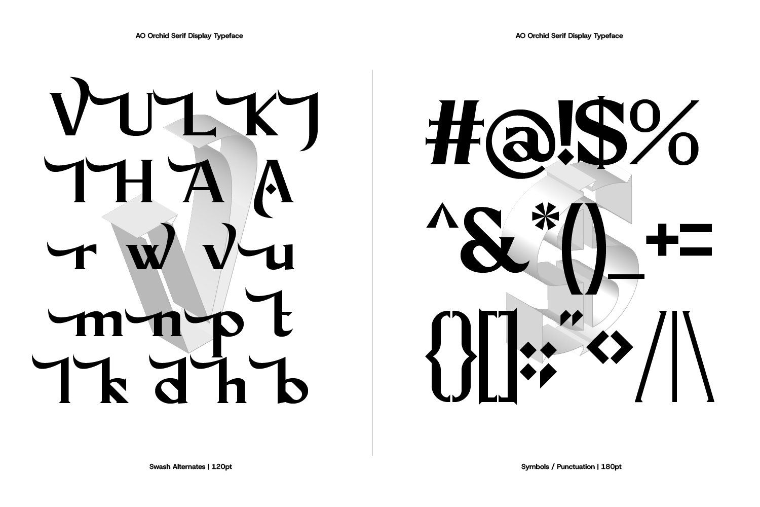 AO Orchid - Decorative Serif Typeface — image 13
