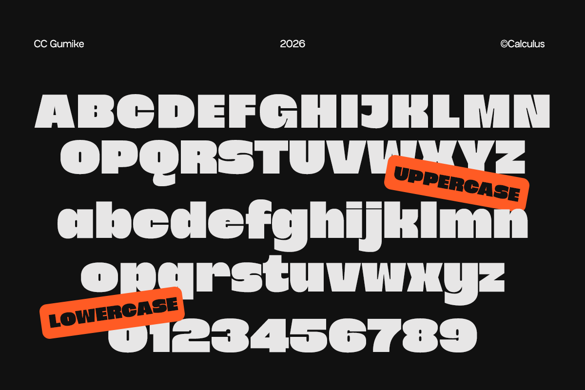 CC Gumike — Bold Display Sans — image 12