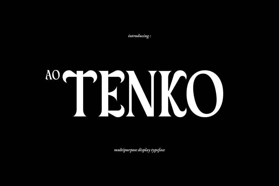 AO Tenko - Stylish Display Typeface