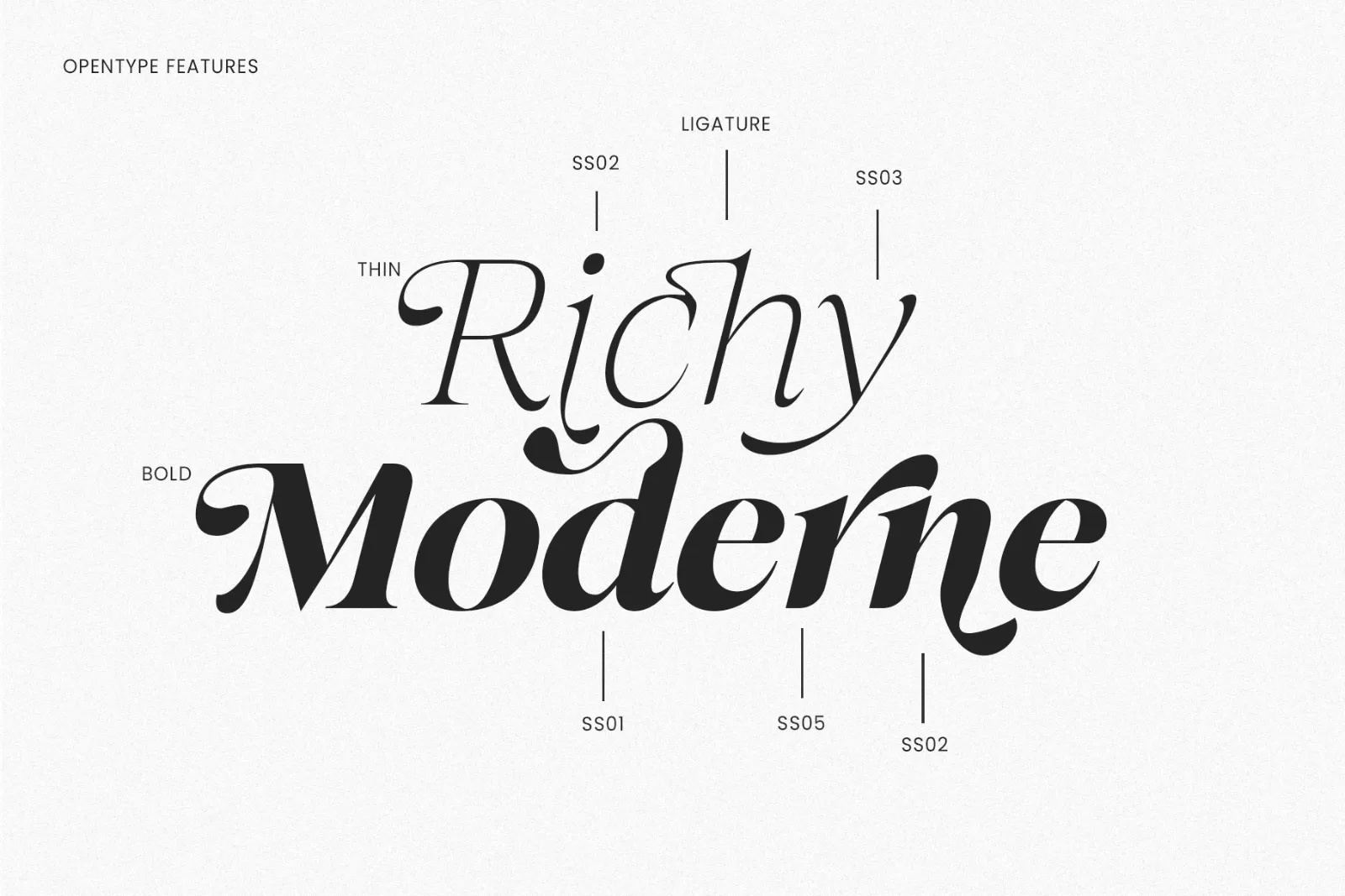 The Taylor Belle | Elegant Feminine Serif Display — image 2