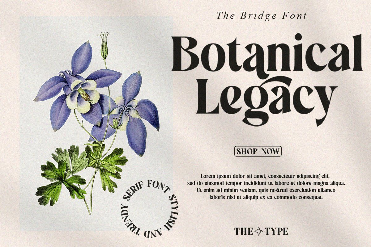 The Bridge | Stylish Trendy Serif — image 2