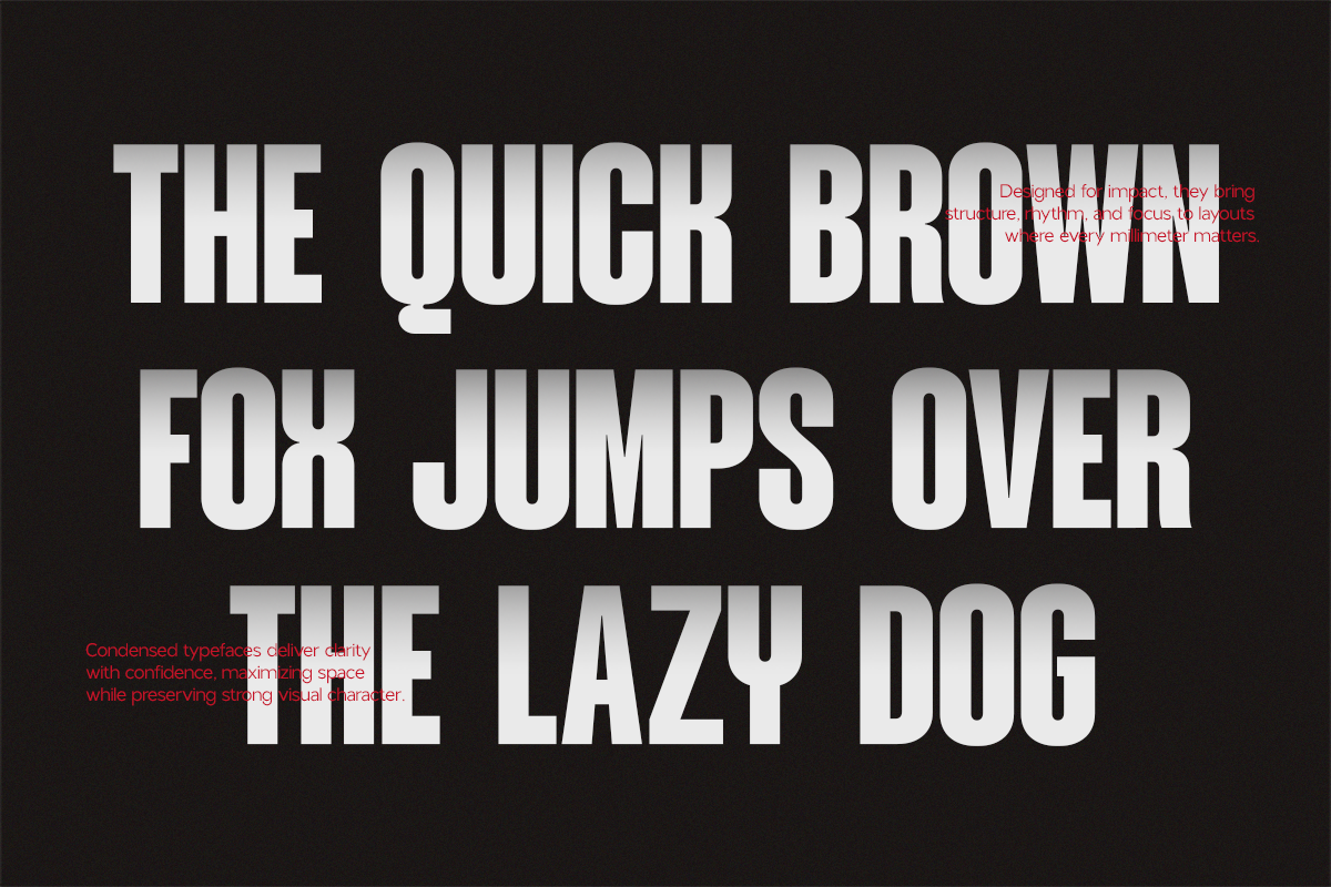 NV Dunk – Condensed Sans Serif Family — image 2