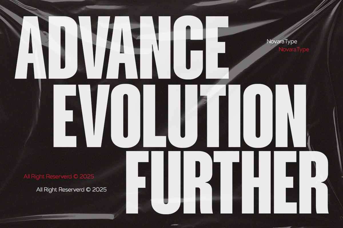 NV Dunk – Condensed Sans Serif Family — image 3