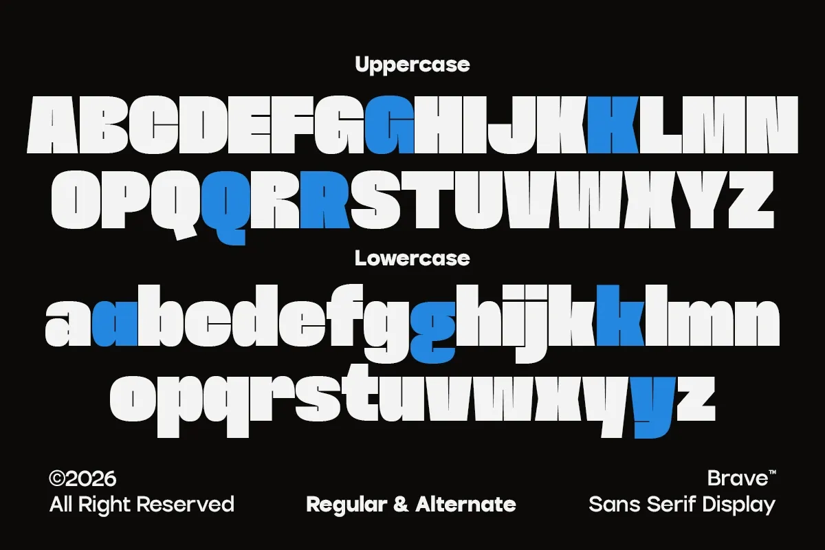 CC Brave - Bold Inktrap Display — image 3