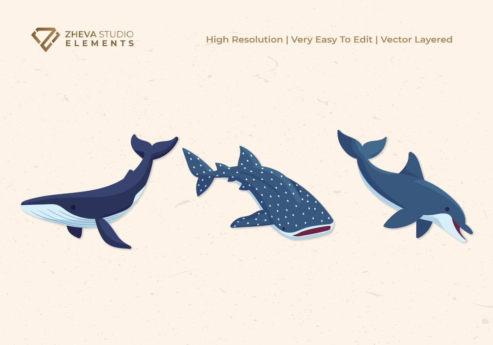 Premium Ocean Mammals and Sea Creatures Vector Illustration – 6 EPS & PNG Files