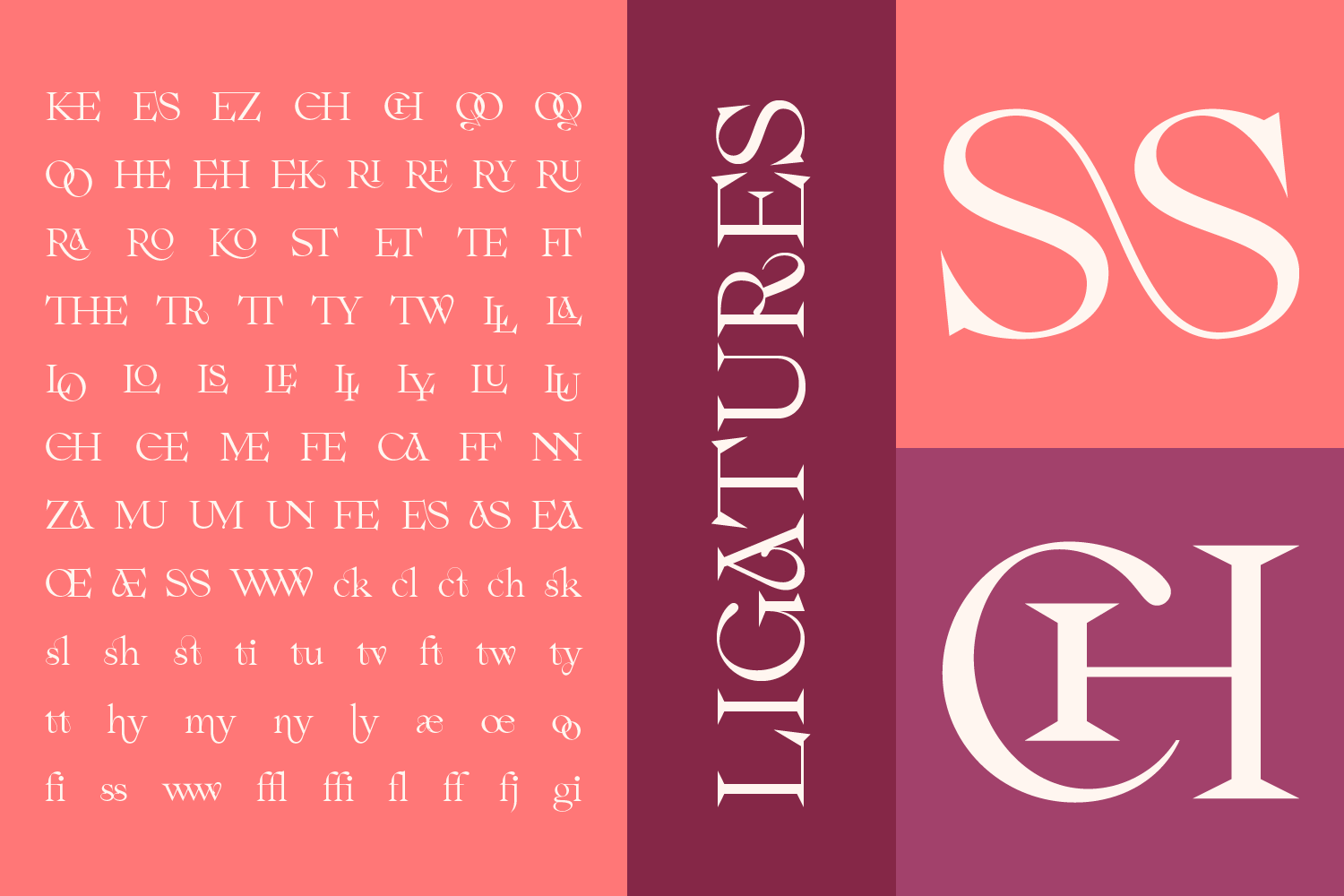 AO Esmeray - Classy Display Serif — image 4