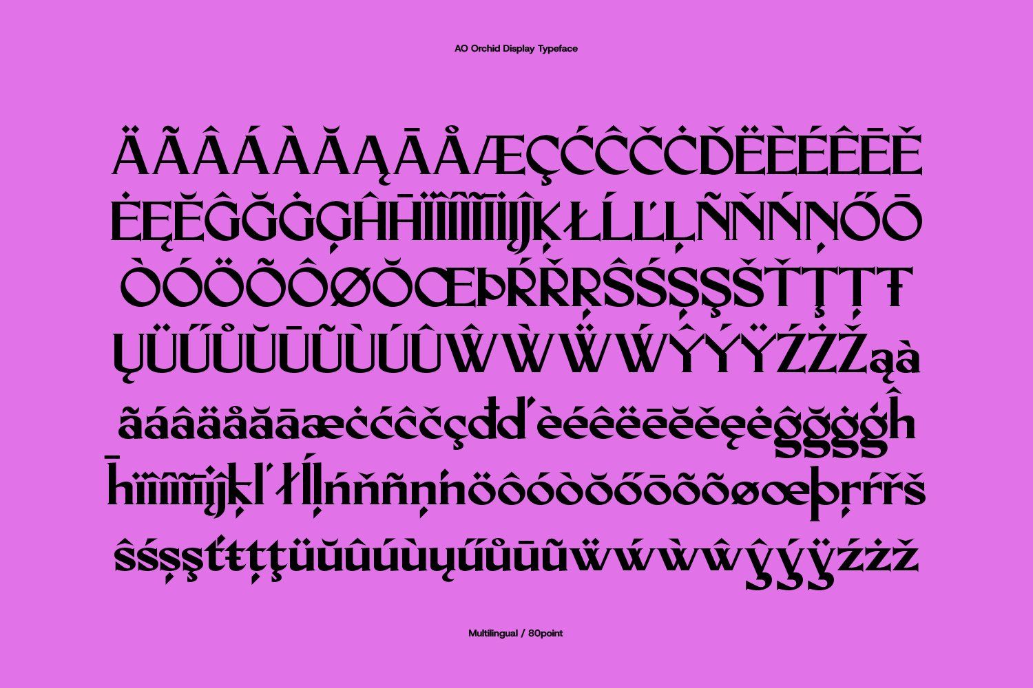 AO Orchid - Decorative Serif Typeface — image 4
