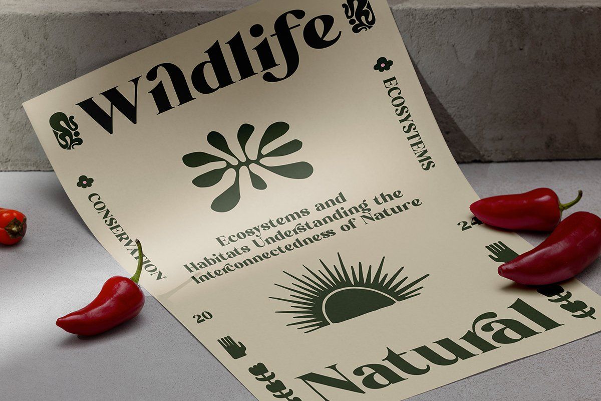 ET Grained - Display Serif Font — image 5