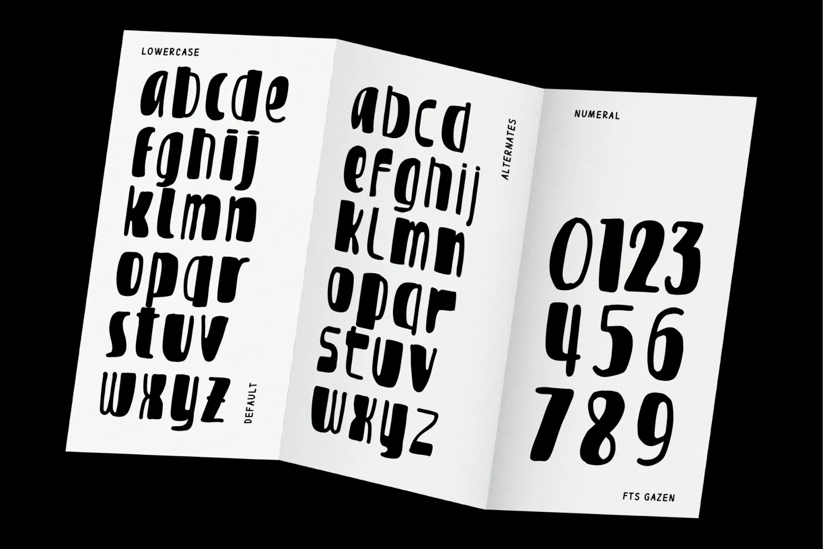FTS Gazen - Raw Bold Display Typeface — image 5