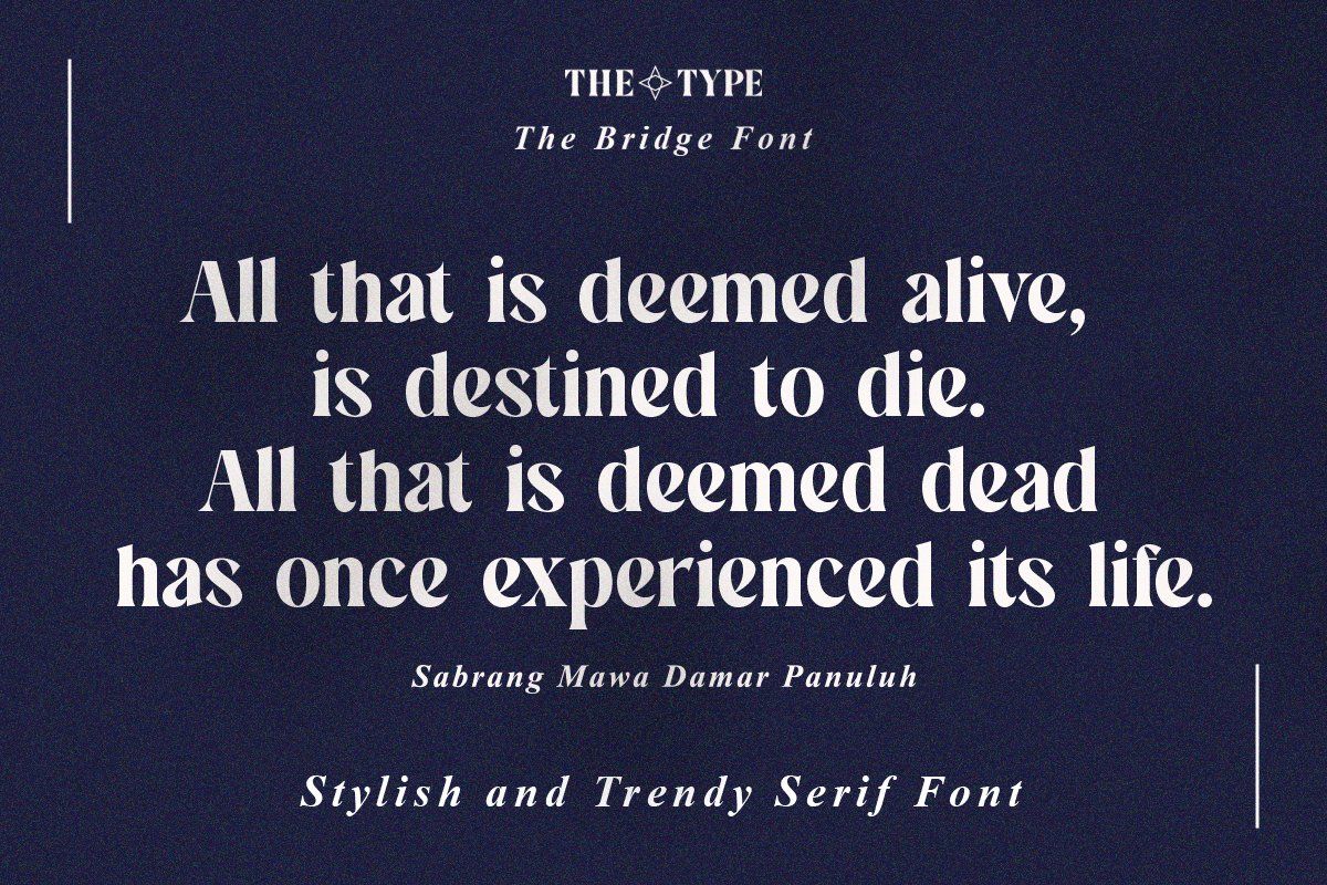 The Bridge | Stylish Trendy Serif — image 5