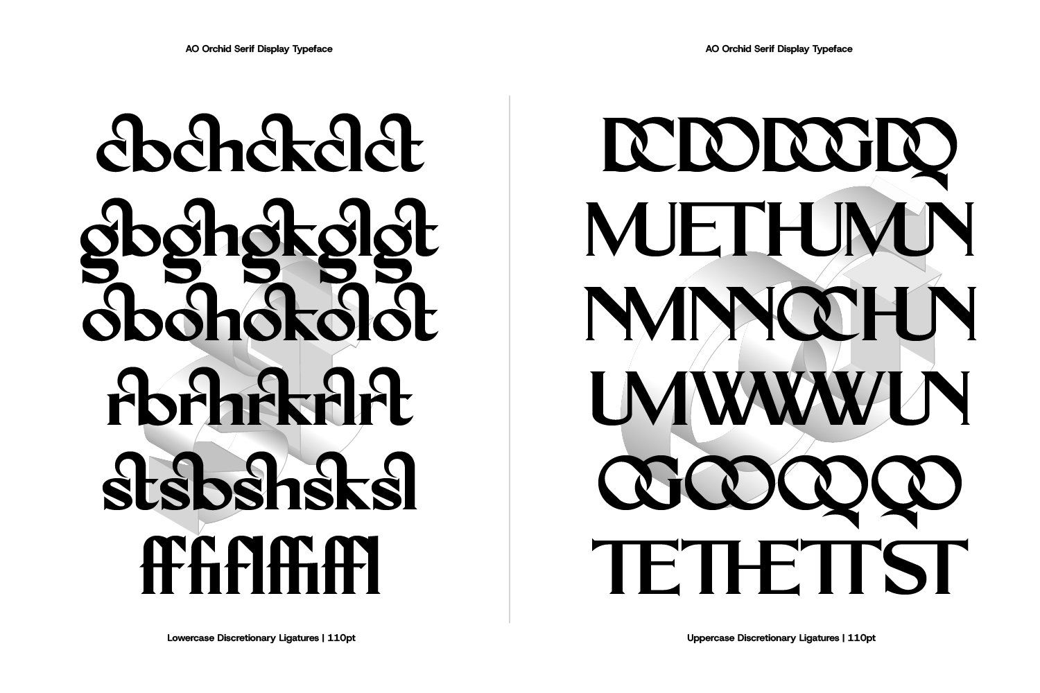 AO Orchid - Decorative Serif Typeface — image 5