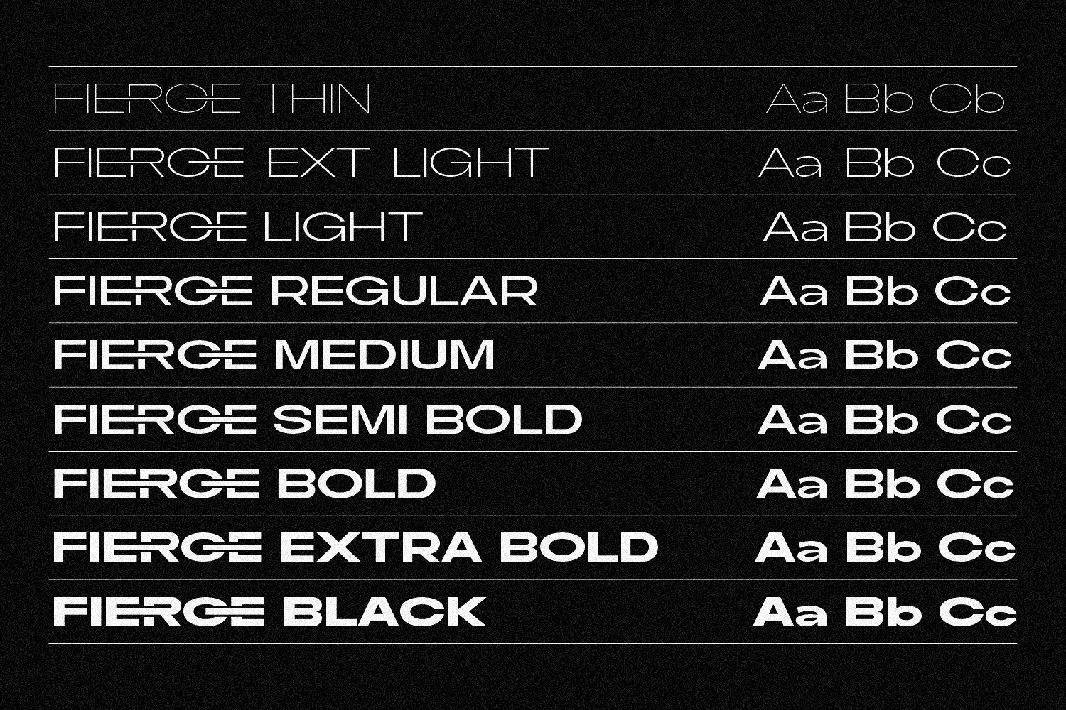 Fierce Family Font