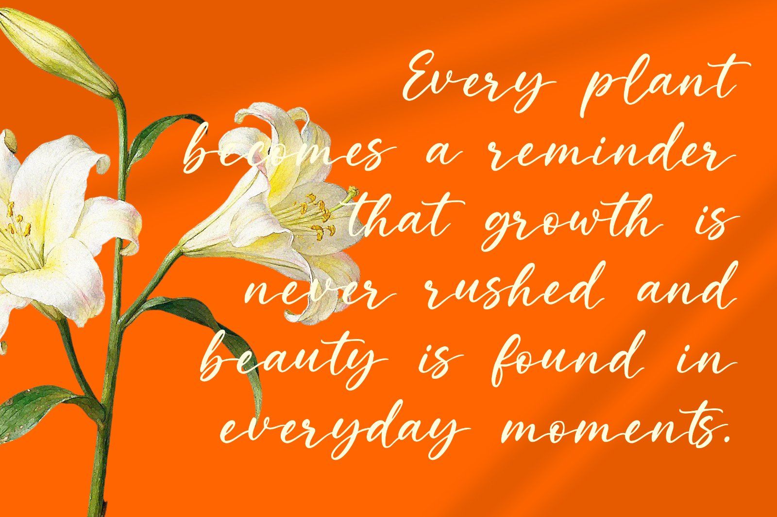 Bellorie | Modern Handwritten Font
