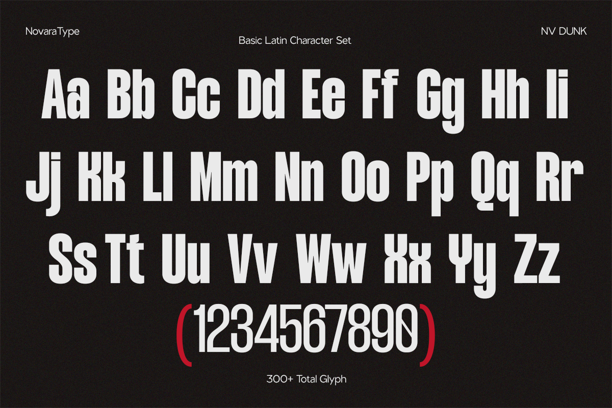 NV Dunk – Condensed Sans Serif Family — image 7