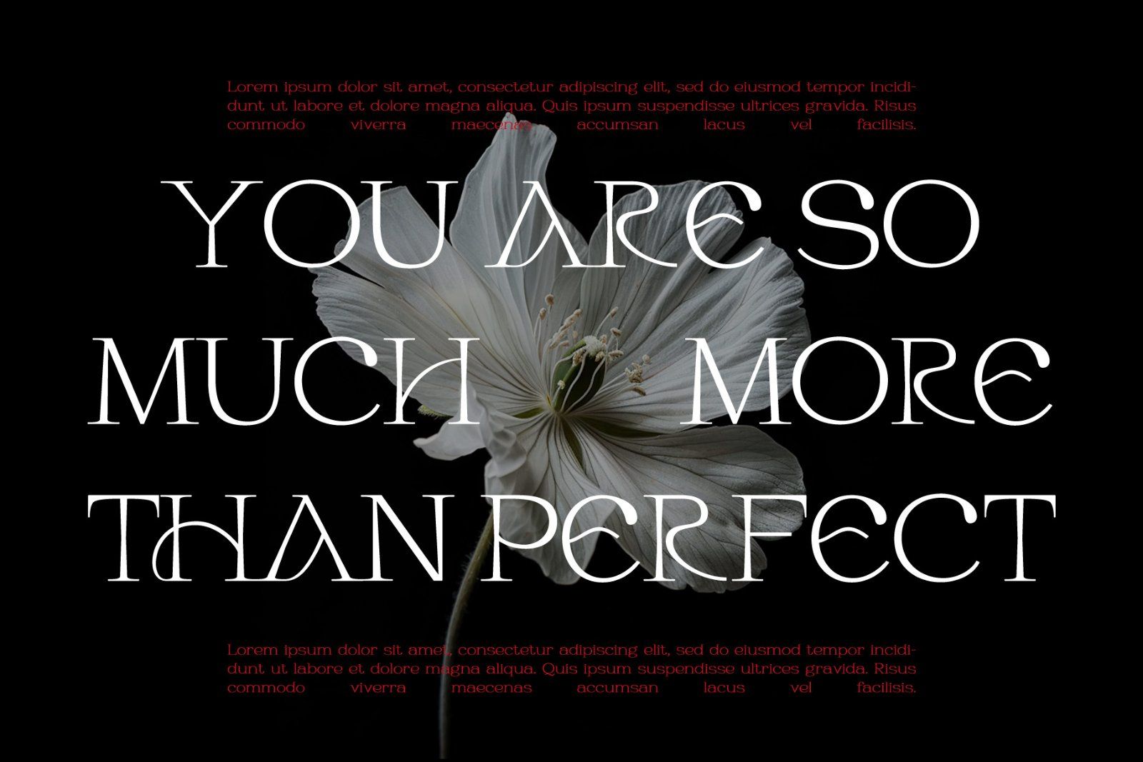 Habarac | Modern Elegant Serif Font
