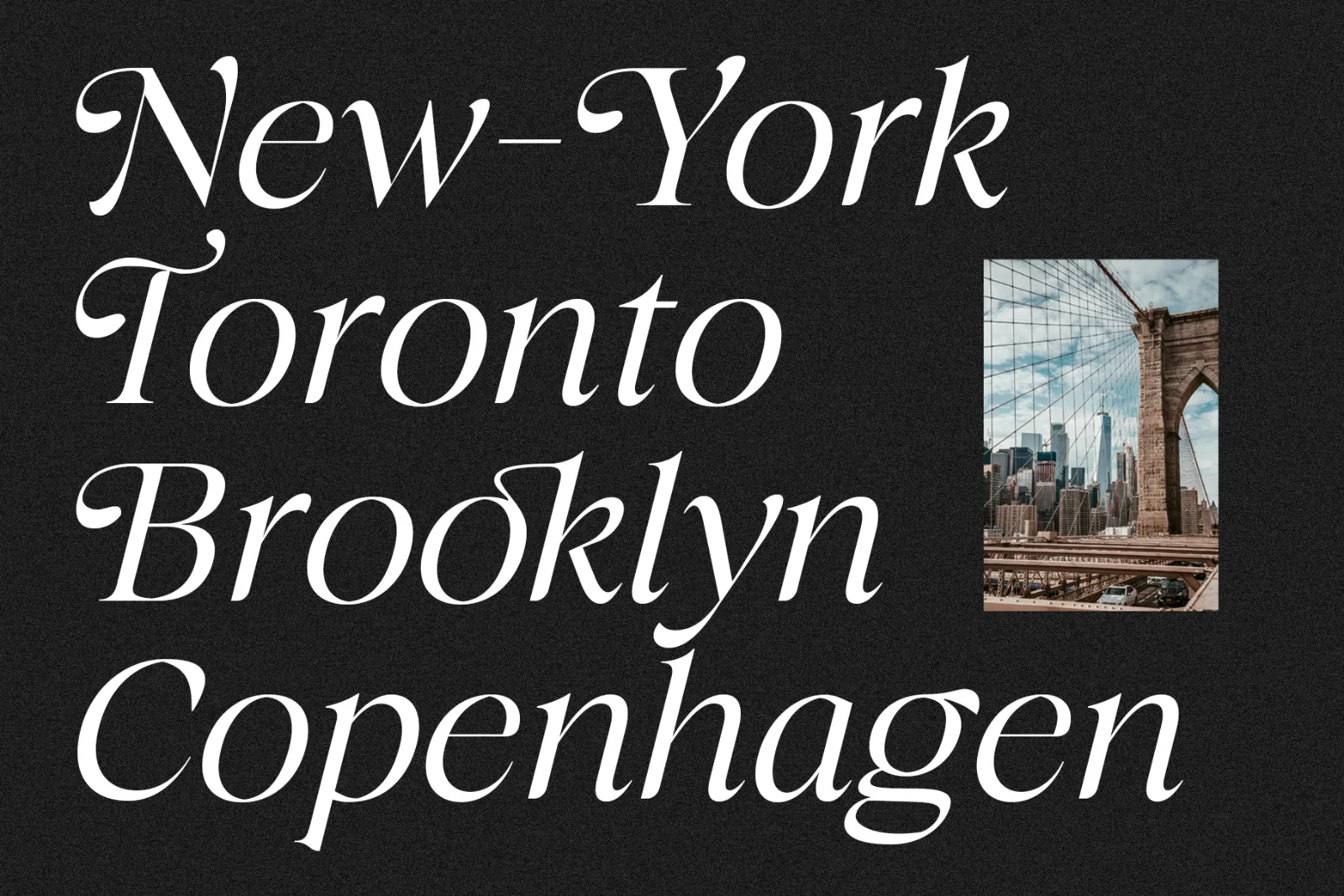 The Taylor Belle | Elegant Feminine Serif Display — image 8
