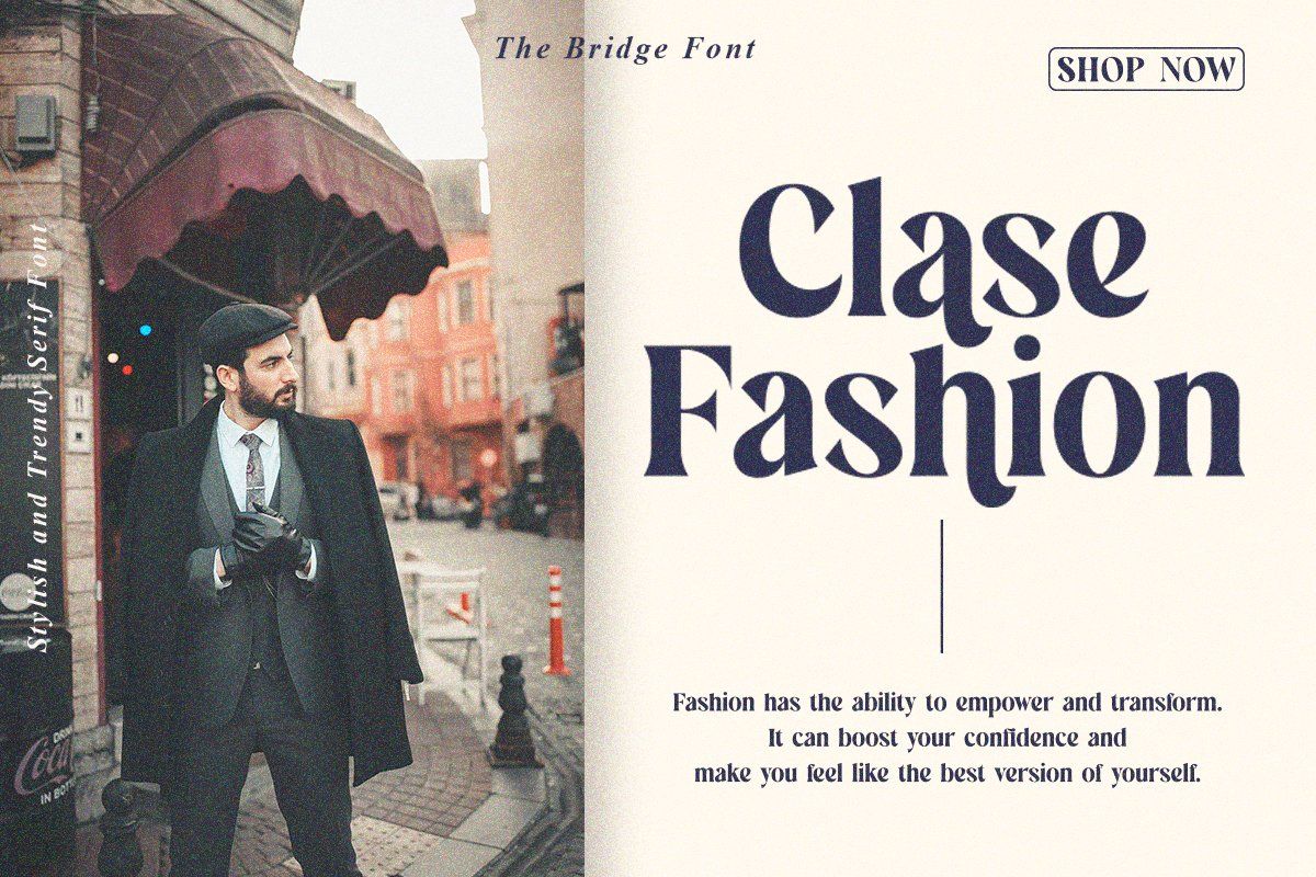 The Bridge | Stylish Trendy Serif — image 8