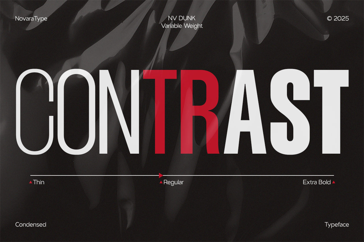 NV Dunk – Condensed Sans Serif Family — image 8