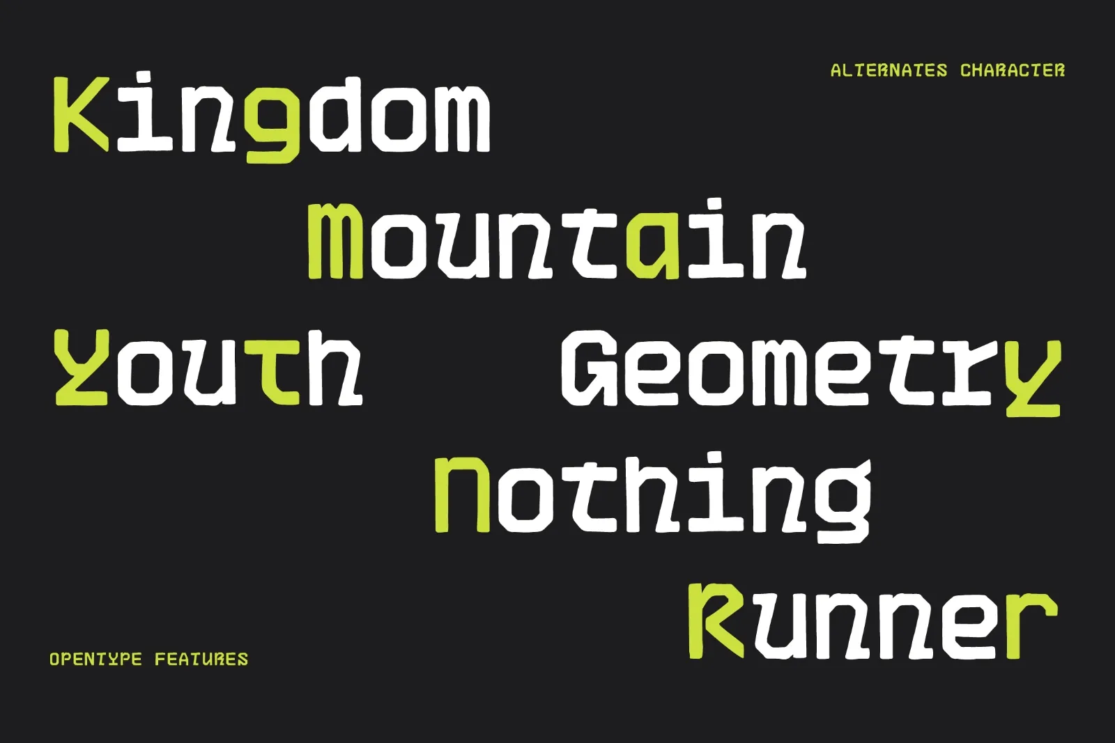 FTS Garven - Hand-drawn Monospace Display Typeface — image 8