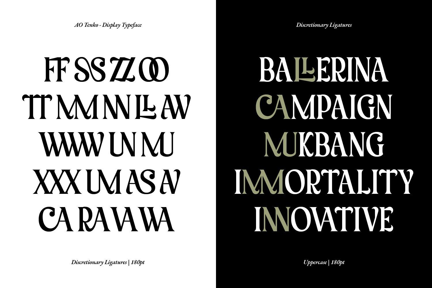 AO Tenko - Stylish Display Typeface — image 8