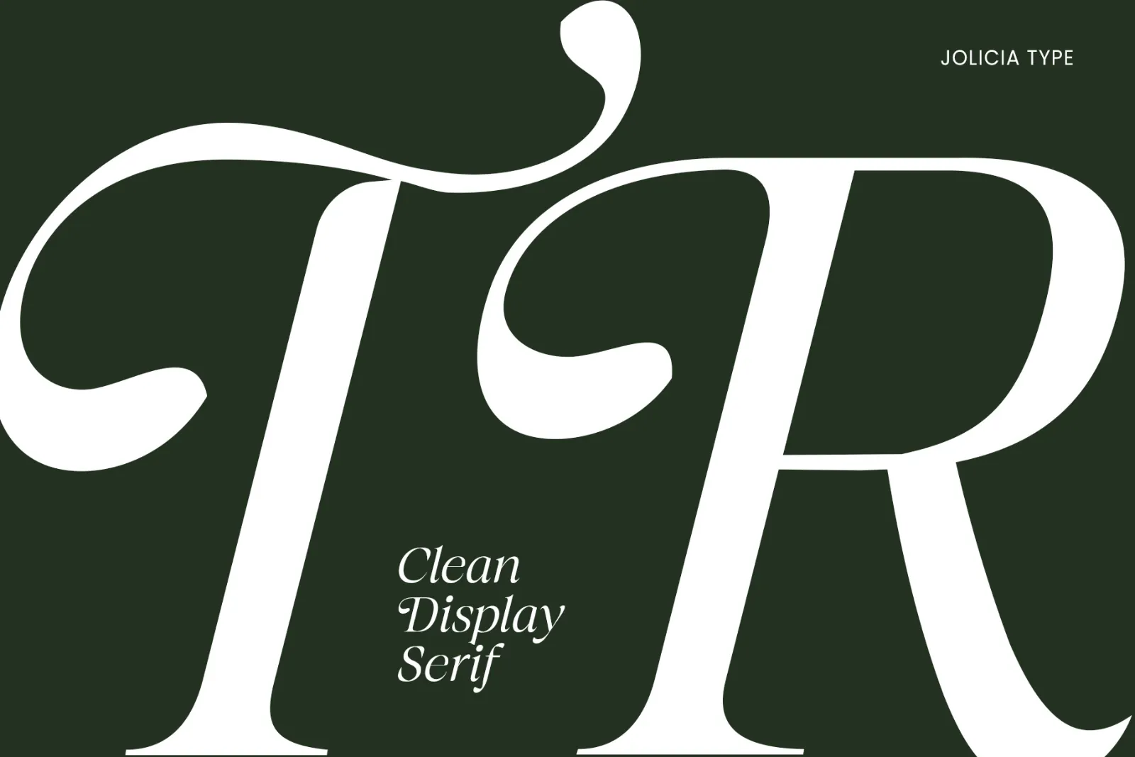 The Taylor Belle | Elegant Feminine Serif Display — image 9