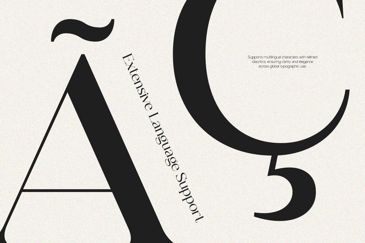 NV Montravia – Elegant Serif Font Family — image 9