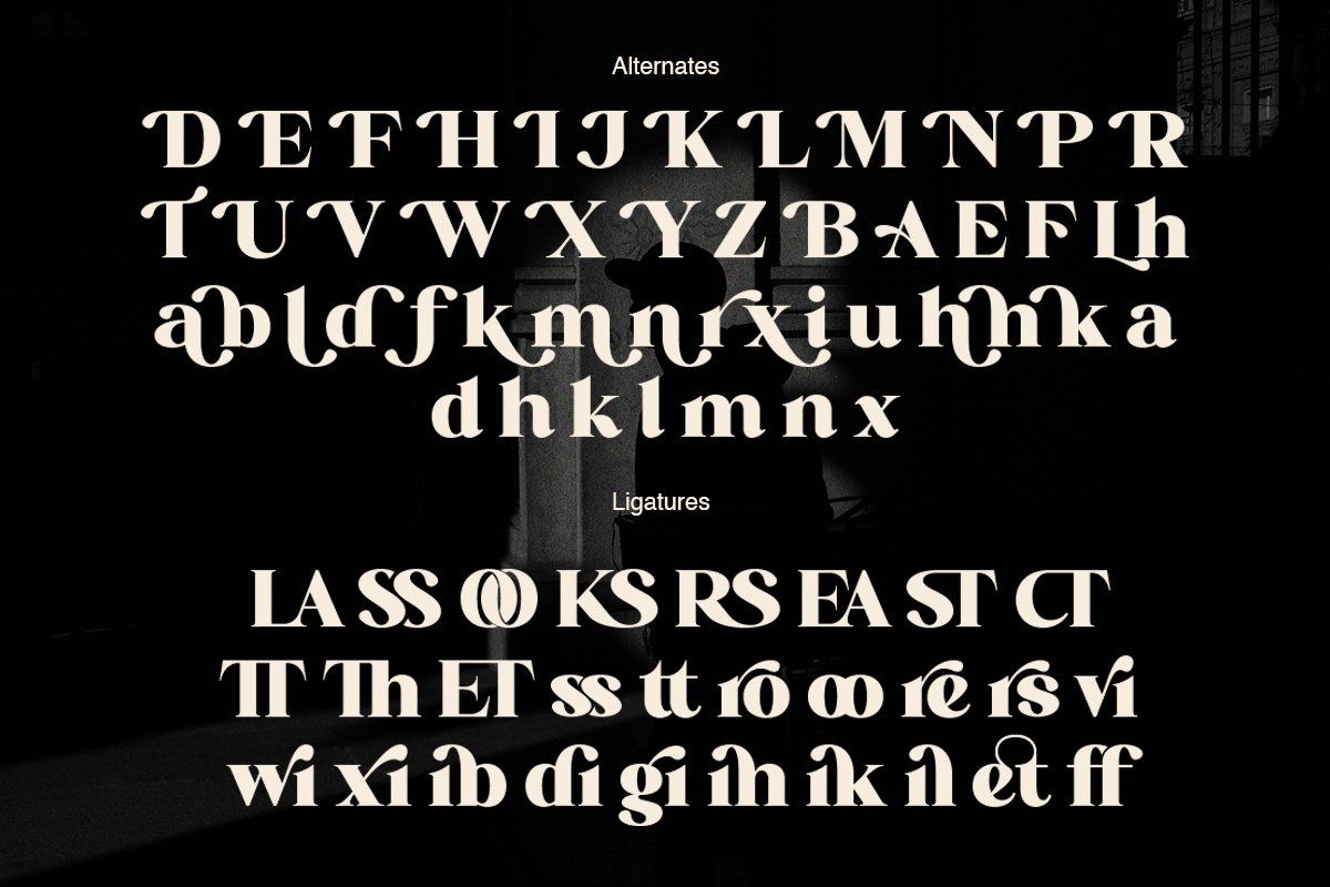 ET Grained - Display Serif Font — image 9