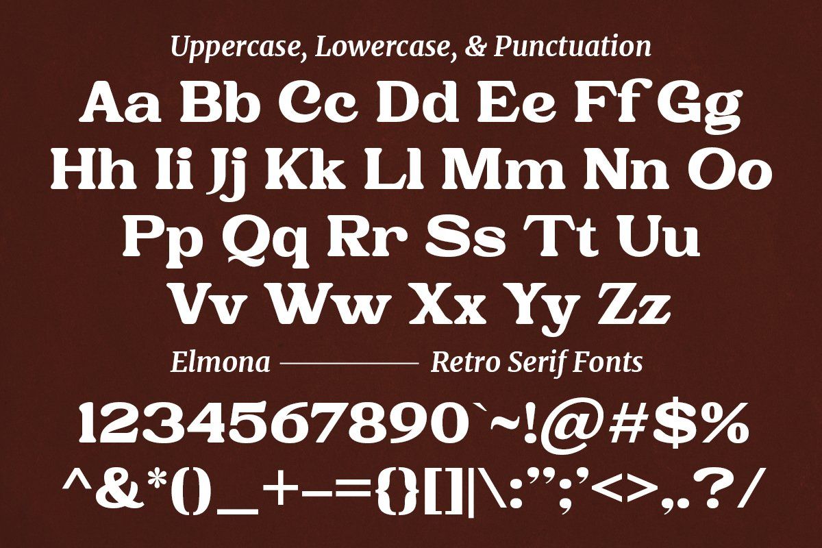 Elmona | Retro Serif Font — image 9