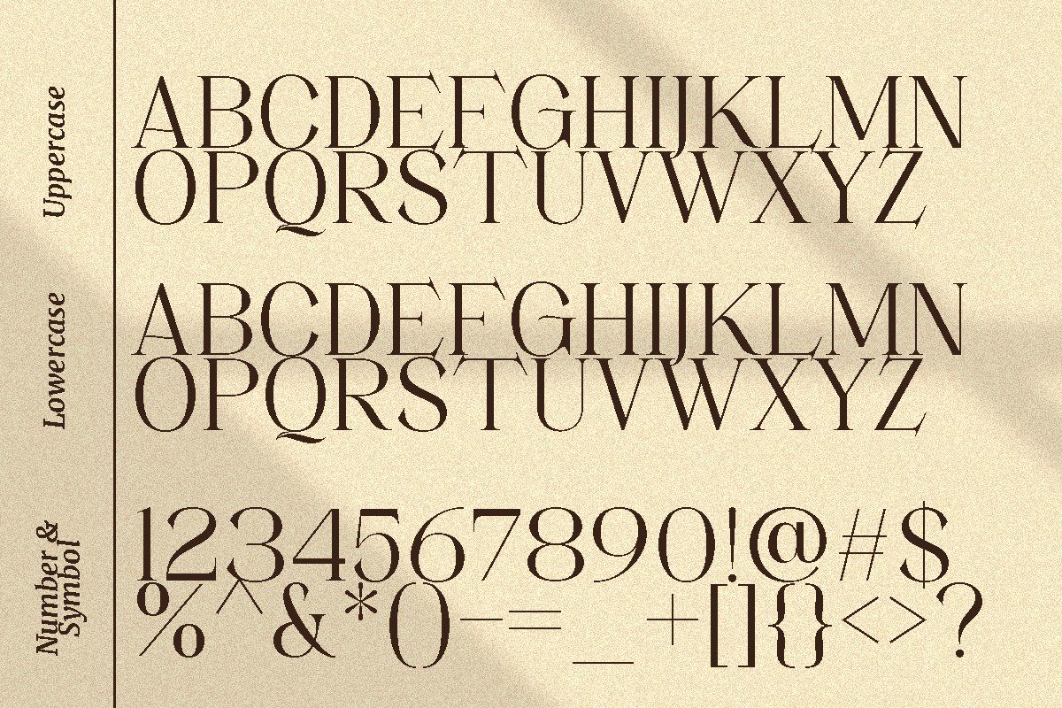 Movich | Uniquely Serif Font — image 9