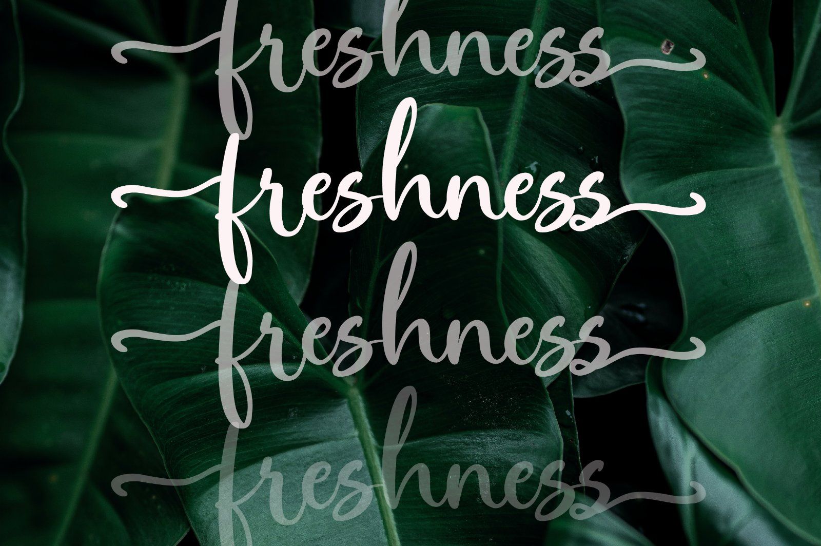 Asmaraloka a Beautiful Script — image 11