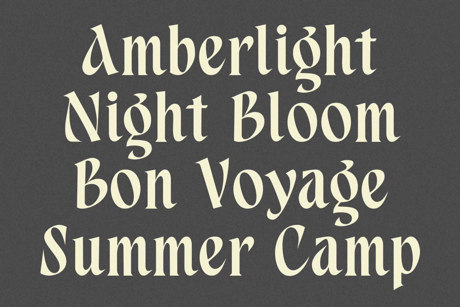 Aspenleigh Elegant Decorative Serif Font — image 11