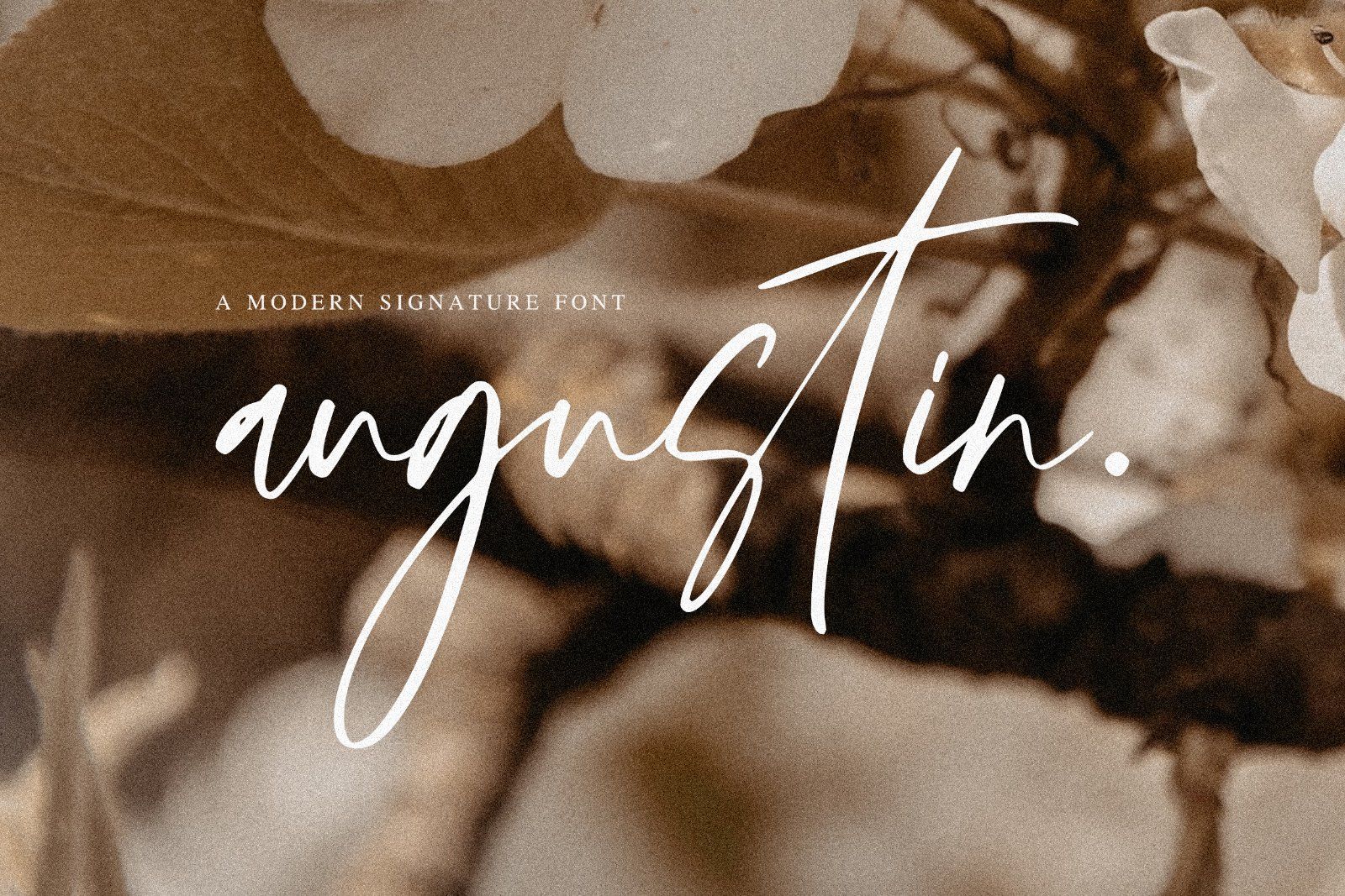 Augustin - Modern Signature Font — image 1