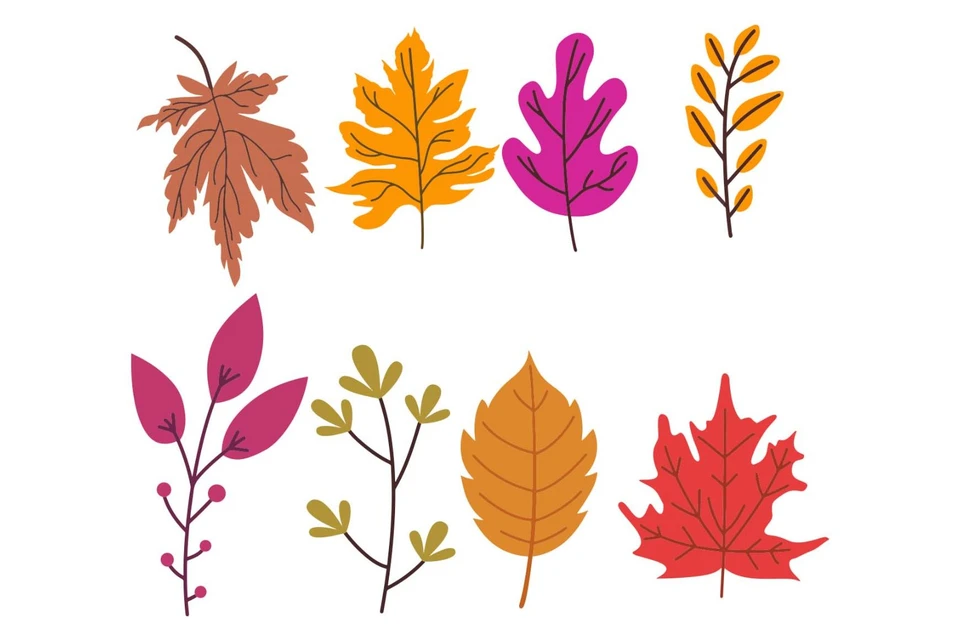 Autumn Leaves Vector Clipart Bundle