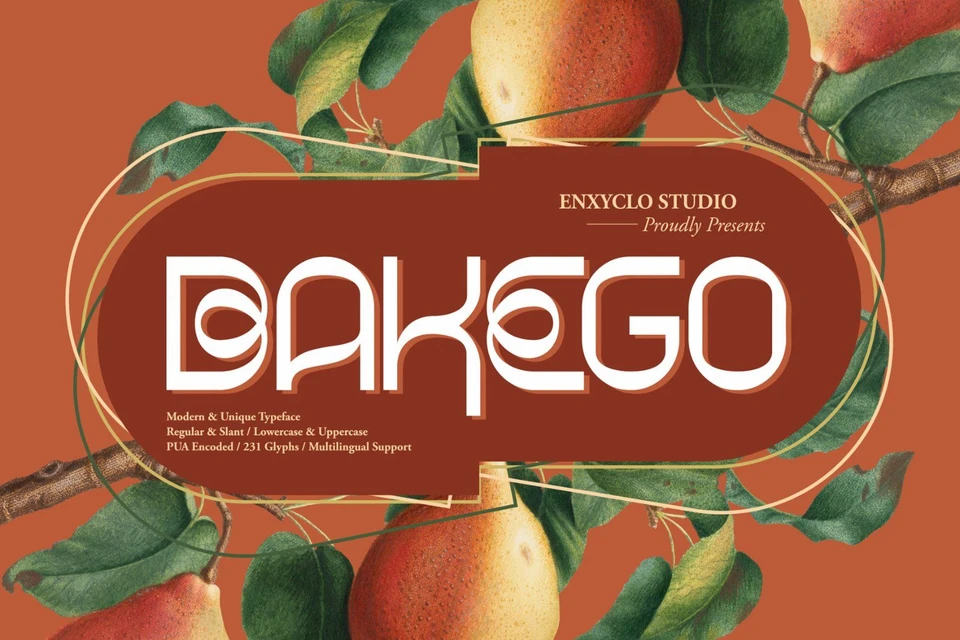 BAKEGO — Unique & Modern Typeface