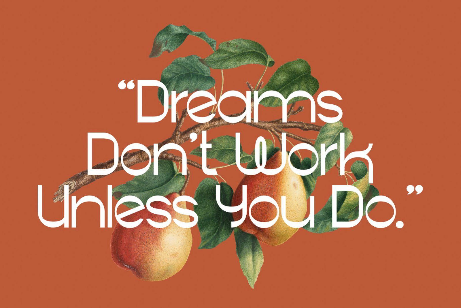 BAKEGO — Unique & Modern Typeface