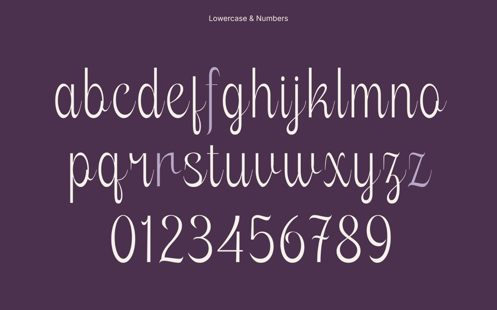 Novelia - Display TypeFace — image 4