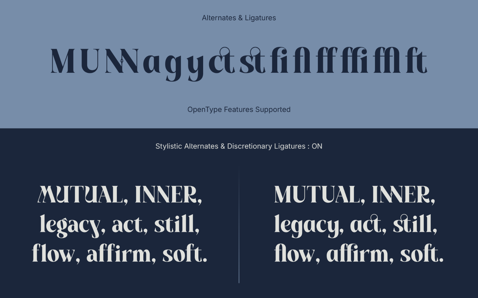 Shunya - Display TypeFace — image 6