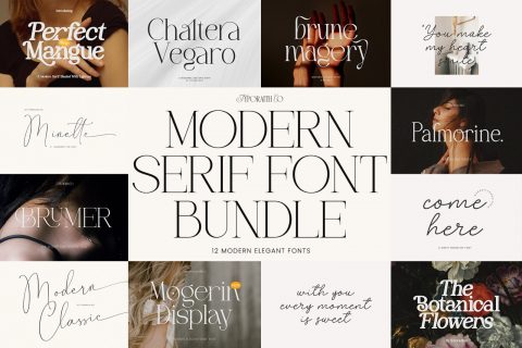 Modern Serif Font Bundle