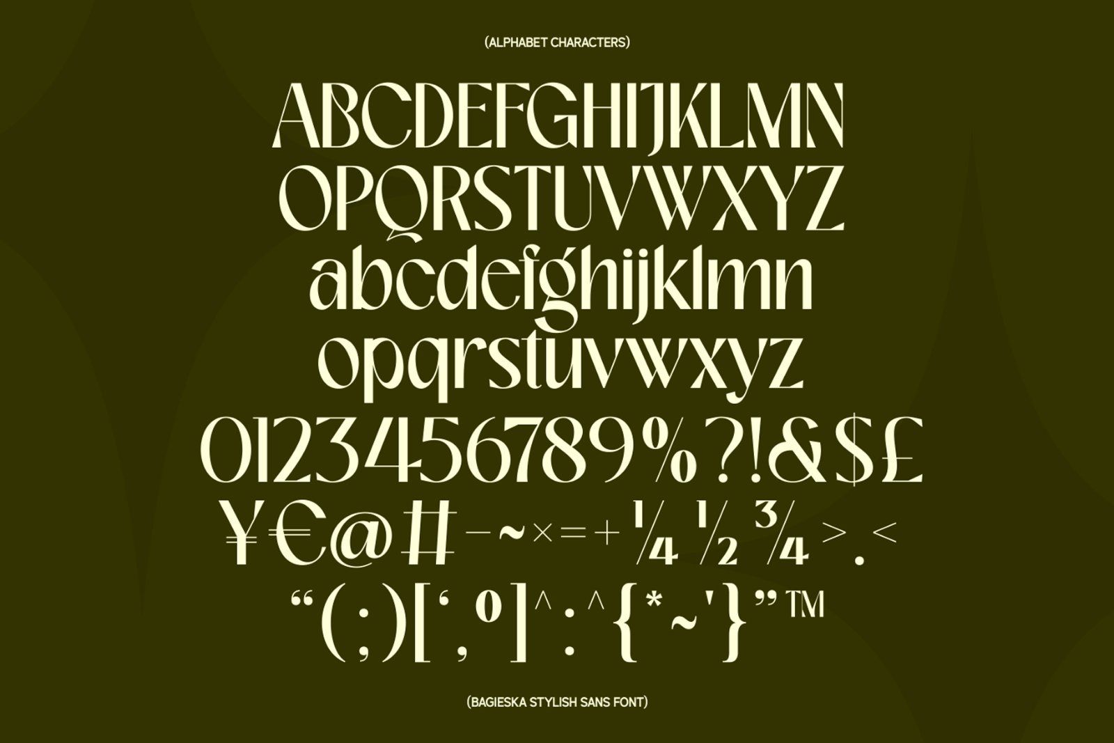Bagieska Stylish Sans Serif Font — image 9